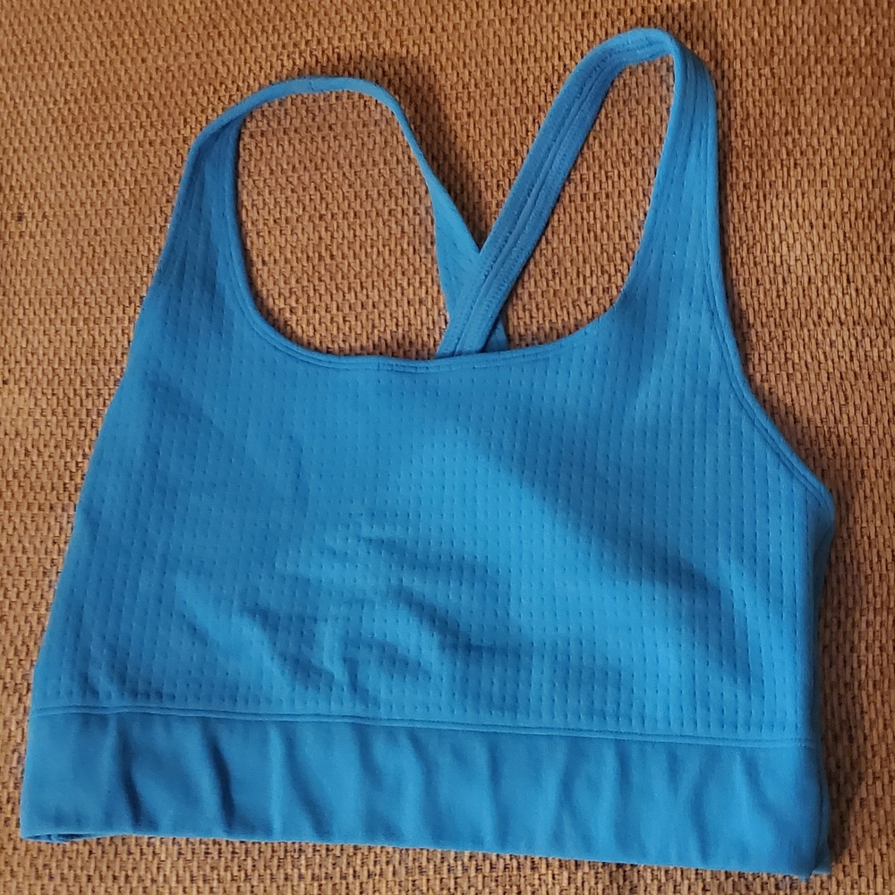 Fabletics Blue Sports Bra